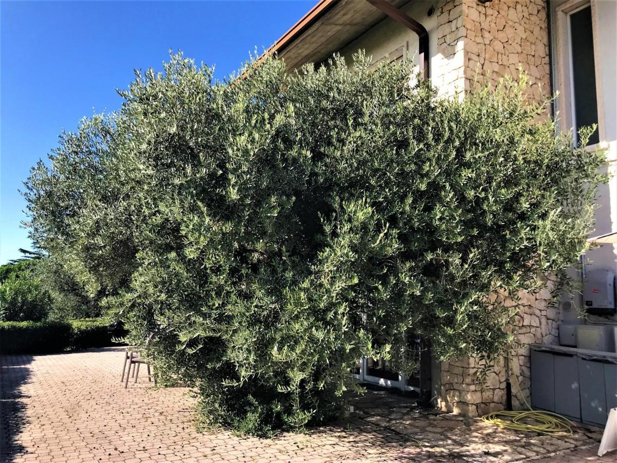 Valpolicella Hills Apartman Negrar Kültér fotó