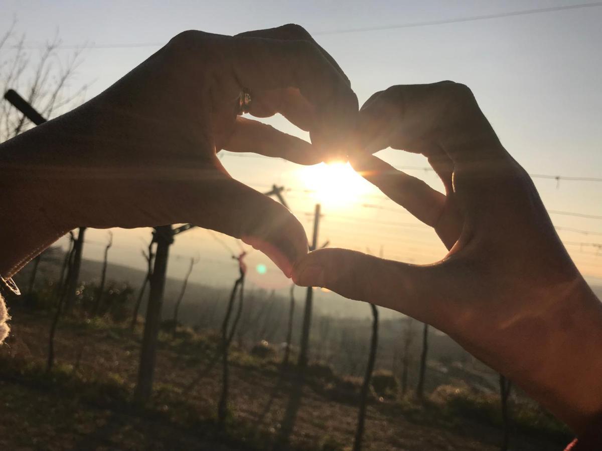 Valpolicella Hills Apartman Negrar Kültér fotó