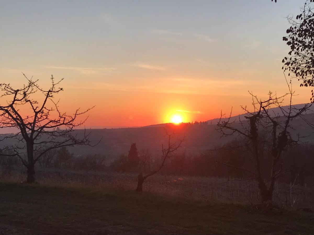 Valpolicella Hills Apartman Negrar Kültér fotó