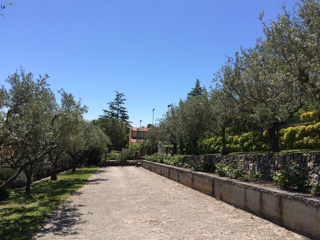 Valpolicella Hills Apartman Negrar Kültér fotó